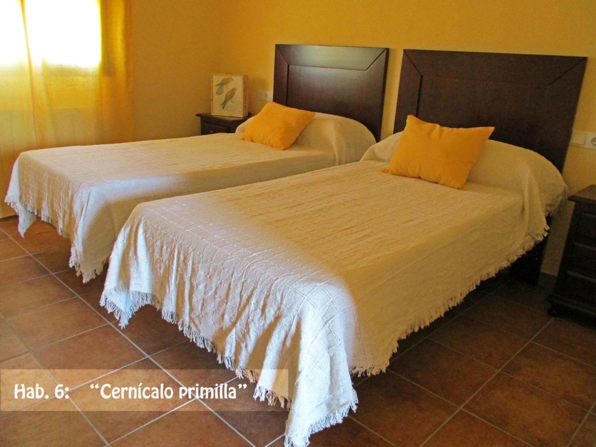 Casa Rural El Nidal Casas de Don Pedro Exteriör bild